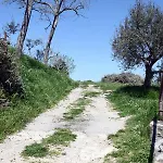 Apartmaji Soncne Terase - Sunny Terraces Portoroz