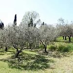 Apartmaji Soncne Terase - Sunny Terraces