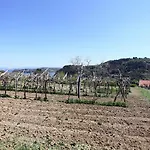 Apartamento Apartmaji Soncne Terase - Sunny Terraces Portoroz