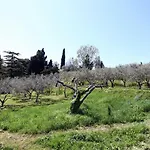 Apartmaji Soncne Terase - Sunny Terraces * Portoroz