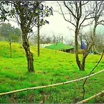 Apartamento Apartmaji Soncne Terase - Sunny Terraces *