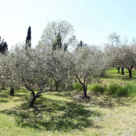 Apartmaji Soncne Terase - Sunny Terraces