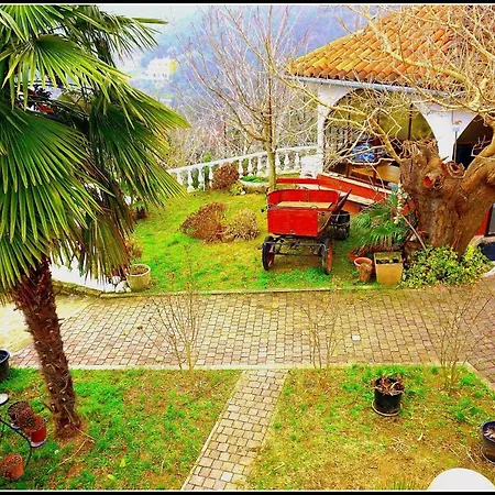 Apartmaji Soncne Terase - Sunny Terraces * Portorož