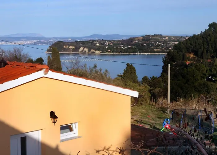 Sunny Terraces Zt 公寓