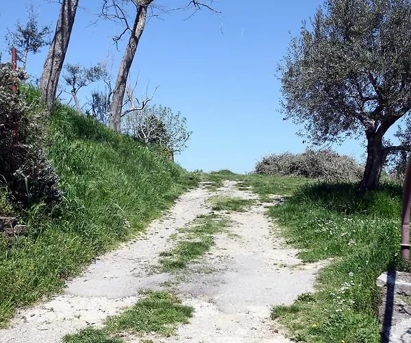 Sunny Terraces Zt 波尔托罗