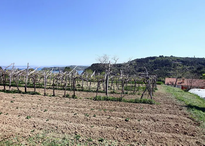 Διαμέρισμα Sunny Terraces Zt Πορτορόζ