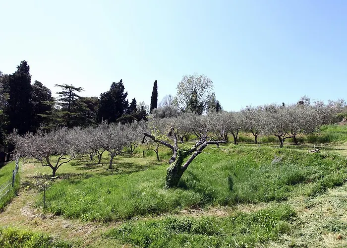 Sunny Terraces Zt * 波尔托罗