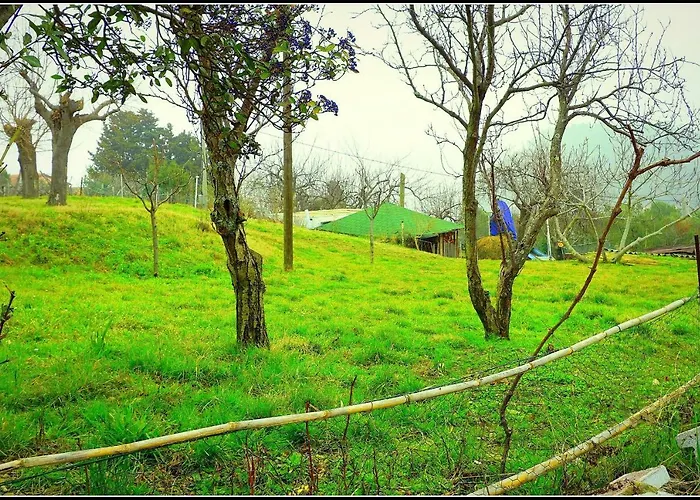 公寓 Sunny Terraces Zt *